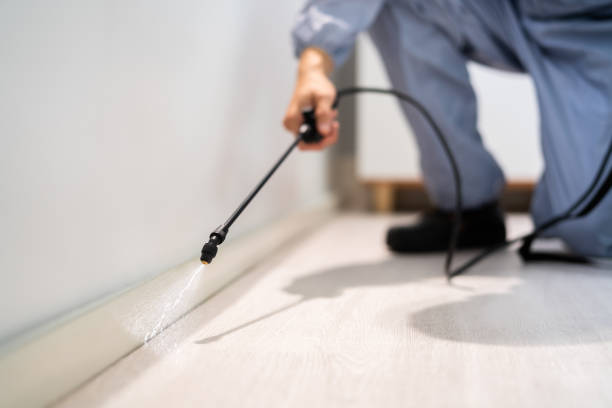 Bed Bug Pre-Treatment Preparation Assessment in Laurel Bay