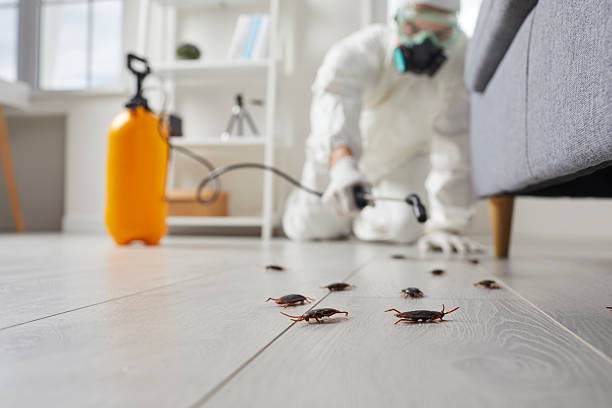Post-Treatment Bed Bug Interceptor Monitoring in Laurel Bay