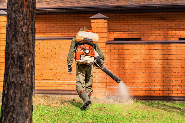 Bed Bug Clearance Verification and Documentation in Laurel Bay